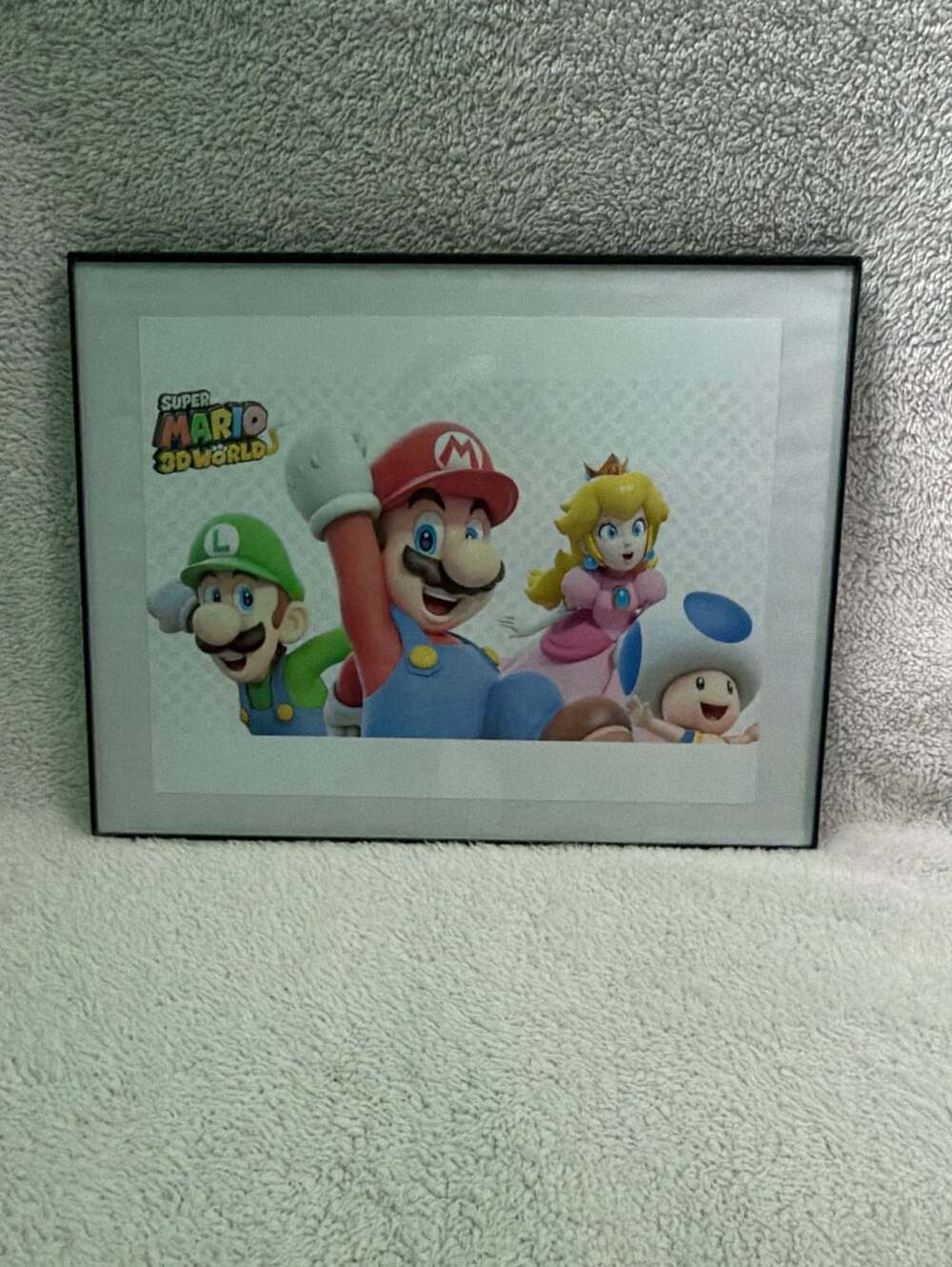 Nintendo Super Mario 3D World Framed Photo
